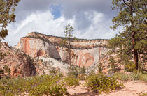 Zion Color Palette by John Bailey