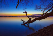 Elbe bei Sonnenuntergang von Dennis Stracke