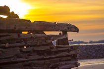 Sonnenuntergang im Wrack an der Elbe von Dennis Stracke