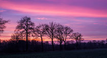 Sonnenuntergang  von Dennis Stracke