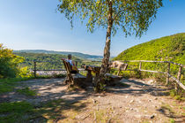 Rheinsteig - Rastplatz  Dinkholdertal von Erhard Hess