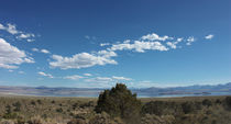 mono lake - IV by meleah