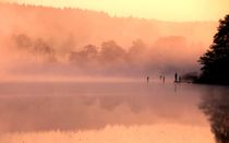 On golden pond von Bruno Schmidiger