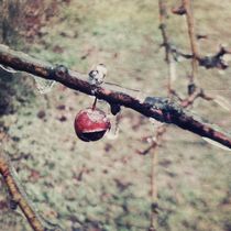 Ice Apple by Green Moon Art