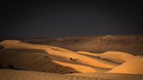 Wahiba Sands, Oman (3) von Eva Stadler