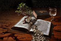 When Books Come Alive by tfotodesign