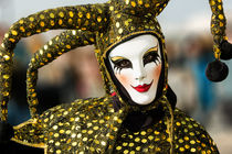 Carnevale di venezia 2014 3 von Rolf Brecht