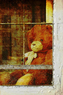 Vergessener Teddybär von Erwin Lorenzen