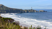 Yaquina Head Lighthouse von John Bailey