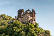 Burg Katz by Erhard Hess