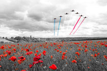 Red Arrows Tribute Selective von James Biggadike