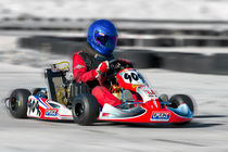 Go Kart von Gunter Nezhoda