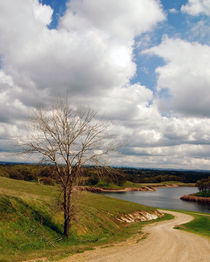 Lake Chesbro von Sally White