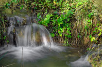 Tumbling Water, Monk's Dale von Rod Johnson