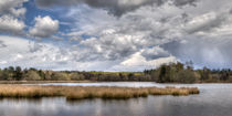 Stormy Sky von David Tinsley