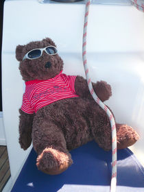 Sailing Teddy von Andreas Jontsch