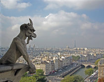Gargoyle Surveying Paris von Sally White