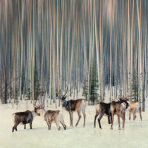 caribou and trees von Priska  Wettstein