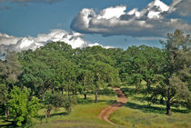 Lake Calero Trail with Clouds von Sally White