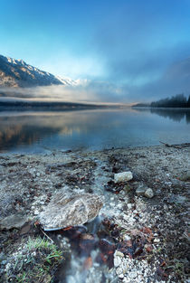 Bohinj's morning creek von Bor Rojnik