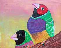 Pretty Gouldian Finches by Laura Barbosa