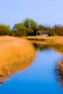 Ducht farm landscape by Leandro Bistolfi