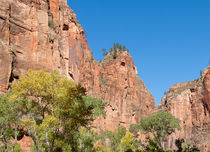 Zion Walls by John Bailey