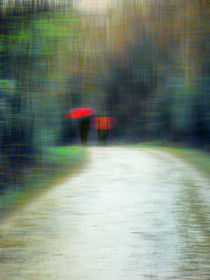 Walk In The Rain by florin