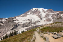 Mountain Trails by John Bailey