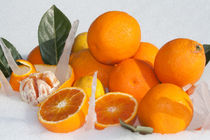 oranges and lemons on snow by bruno paolo benedetti