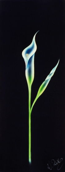 Calla 2 von Walter Zettl