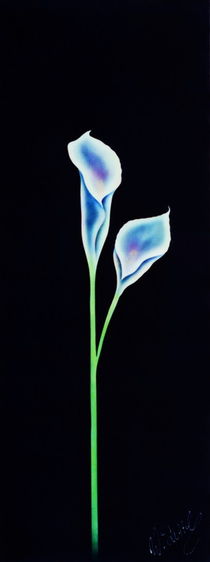 Calla von Walter Zettl