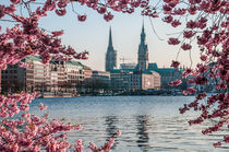 Hamburg im Frühling VI von elbvue von elbvue