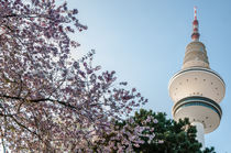 Hamburg im Frühling II von elbvue von elbvue