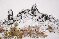 Dimmuborgir - Iceland by B. de Velde