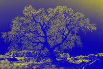 Colorful Oak Tree von Sally White
