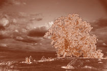 Surreal Oak Tree with Clouds von Sally White