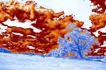 Lone Oak in a Surreal Landscape von Sally White