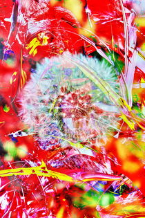 Pusteblume Abstrakt 2 von Walter Zettl