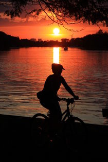 Sunset Cyclist by Valentino Visentini