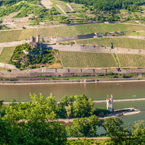 Ehrenfels und Mäuseturm - Bingen (2+) von Erhard Hess