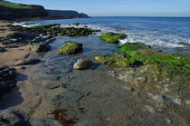 Gunwalloe Cove on the Lizard von Pete Hemington