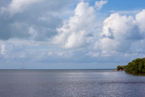 View From Grassy Ke by John Bailey