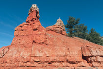 Geological Forces At Red Canyon von John Bailey