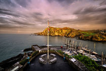 ilfracombe pier von Dave Wilkinson