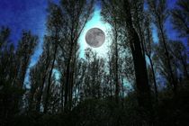 Moonlight - Mondlicht von leddermann