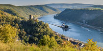 Kaub + Gutenfels + Pfalzgrafenstein (16neu) by Erhard Hess