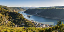 Kaub + Gutenfels + Pfalzgrafenstein (12neu) von Erhard Hess