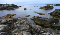 Monterey Bay von Vadim Smirnov