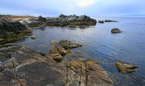 Monterey Bay von Vadim Smirnov